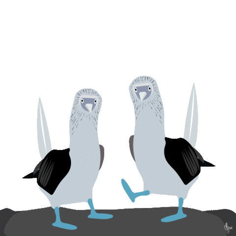 Blue Footed Booby Bird Sticker