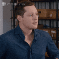 schitts creek what GIF by CBC