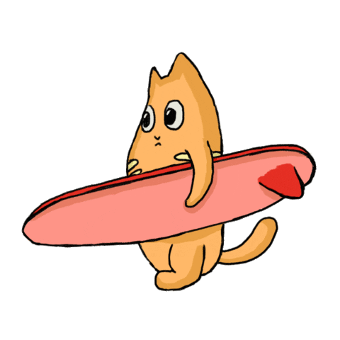 diasesa giphyupload cat summer beach Sticker