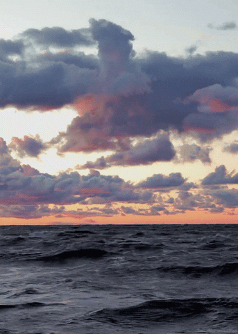 relaxed lake ontario GIF by Head Like an Orange