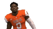 Alonzo Alonzohouston Sticker by Carson-Newman Athletics