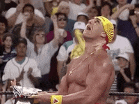 wrestlemania 9 wrestling GIF by WWE