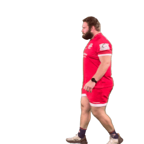 Looking See You Sticker by Jersey Reds