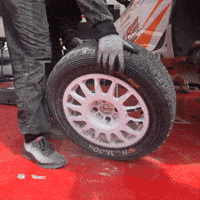 Wheel Reverse GIF by FIA European Rally Championship