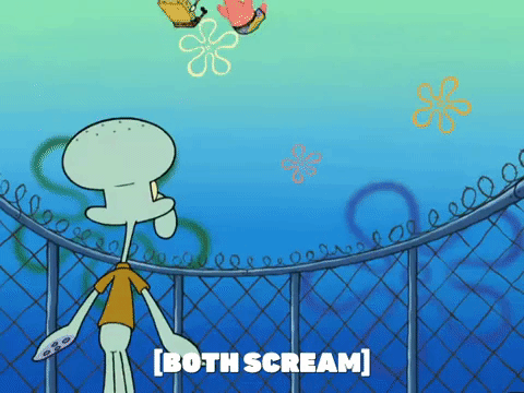 season 5 to love a patty GIF by SpongeBob SquarePants