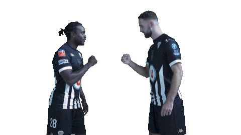 Sport Sticker by SCO Handball