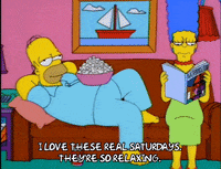 homer simpson GIF