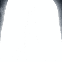 animation 3d GIF