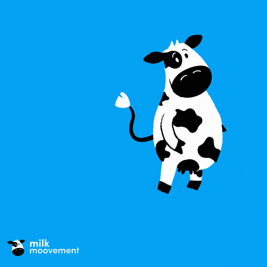 MilkMoovement giphyupload cow moonwalk dancing cow GIF