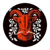 Coffeeliquor Sticker by Jumping Goat Liquor