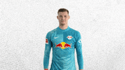 Football Soccer GIF by RB Leipzig