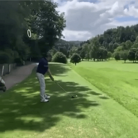 safeteegolf giphygifmaker giphyattribution golfing bettersafethansorry GIF