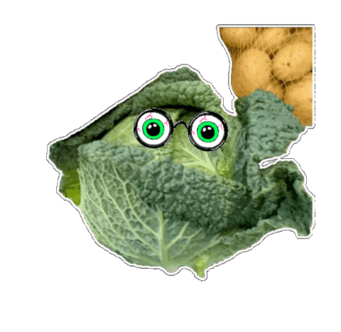 Cabbage Kohl Sticker
