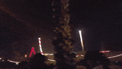 gifsthatkeepongiving gifs that keep on giving GIF