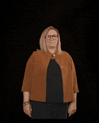 fdpfraktionlsa fdplsa ktarricone tarricone fdpfraktionlsa GIF