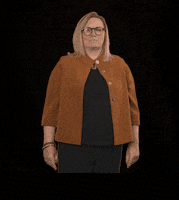 fdpfraktionlsa fdplsa ktarricone tarricone fdpfraktionlsa GIF