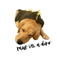 Golden Retriever Puppy Sticker