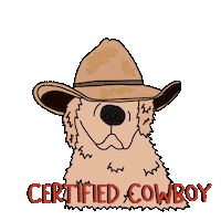 Cowboy Countryboy Sticker