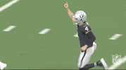 Las Vegas Raiders Football GIF by NFL