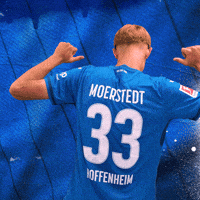 Sport Bundesliga GIF by TSG Hoffenheim