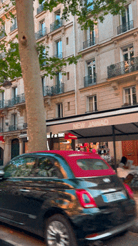Driving France GIF
