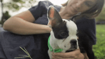 Animal Planet GIF by Puppy Bowl