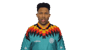Happy World Cup Sticker by Black Prez