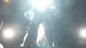 Rodeo Bull Riding GIF by Professional Bull Riders (PBR)