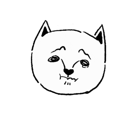 sad cat Sticker by niusnews