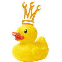 Ovr Badeend Sticker by ovrijnsburg