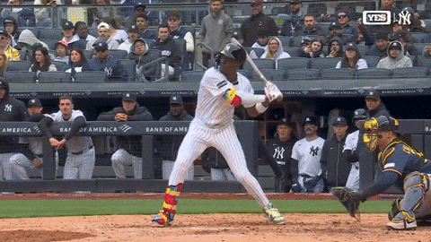 New York Yankees Sport GIF by MLB