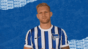 Arne Maier Var GIF by Hertha BSC