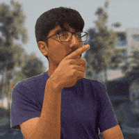 N Roosevelt Road GIF