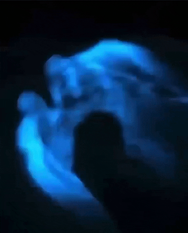 yj_jane giphygifmaker GIF