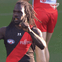 Essendon Bombers Football GIF by Essendon FC