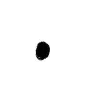 Burst Madiba Sticker by Jaclyn