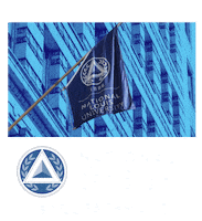 Nlu Sticker by National Louis University