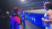 Teddy Bear Wwe GIF by Tubi