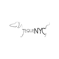 tequenyc dog brand dachshund petstore Sticker