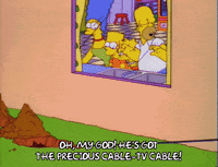 homer simpson episode 20 GIF