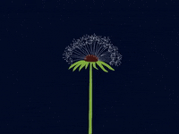 Wishing End Of Year GIF by Barbara Pozzi