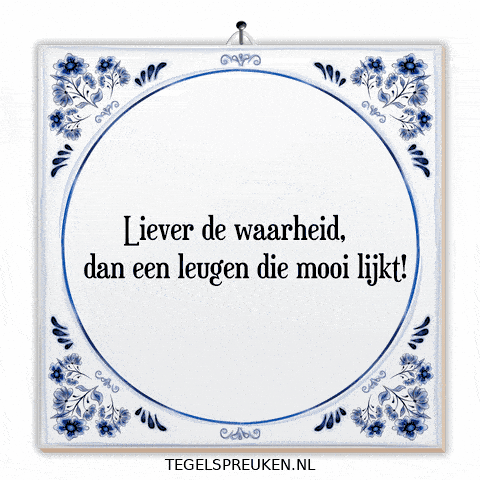Humor Reflectie GIF by Tegelspreuken.nl