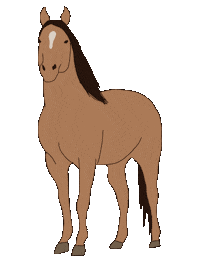 Horse Kun Sticker