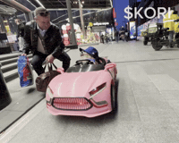 Party Dog GIF