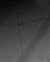 Vasco Da Gama Puma GIF