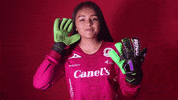 Sanluis Adsl GIF by Atlético de San Luis