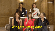 Wand Wingardium Leviosa GIF by BuzzFeed