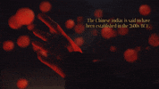 New Year Zodiac GIF by BuzzFeed