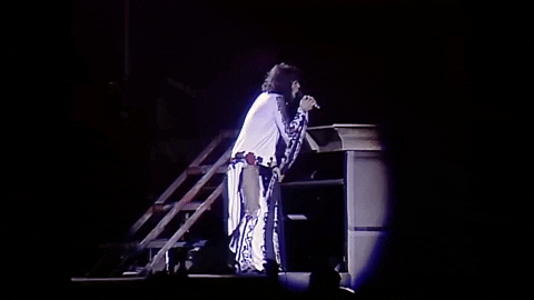 Steven Tyler 1980S GIF by Aerosmith
