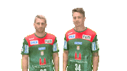 Handball-Bundesliga Handshake Sticker by LIQUI MOLY HBL